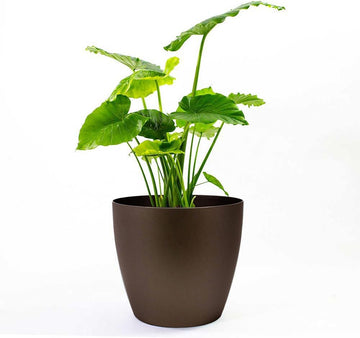 Memphis 15" Round Indoor Floor Planter Pot - Lightweight & Durable Plastic, Modern Design, Made in USA, Recyclable