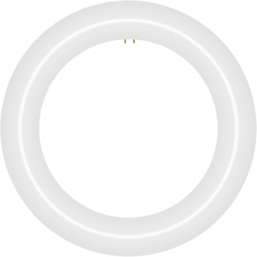 8 inch T9 Circline Type A Plug & Play LED Lamp, Cool White (4200K) Direct Replacement for 22W FC8T9/CW (Without