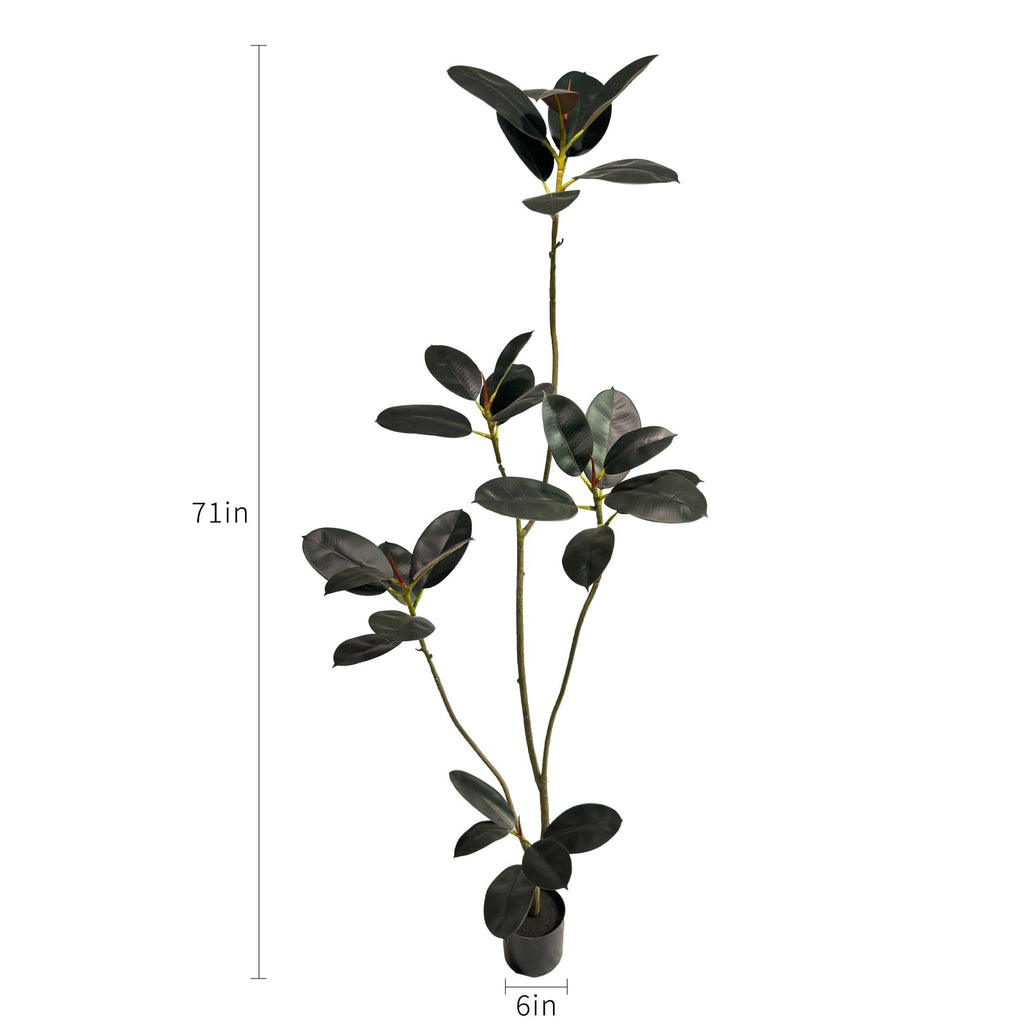 Artificial Rubber Tree 6ft Tall Indoor Plant