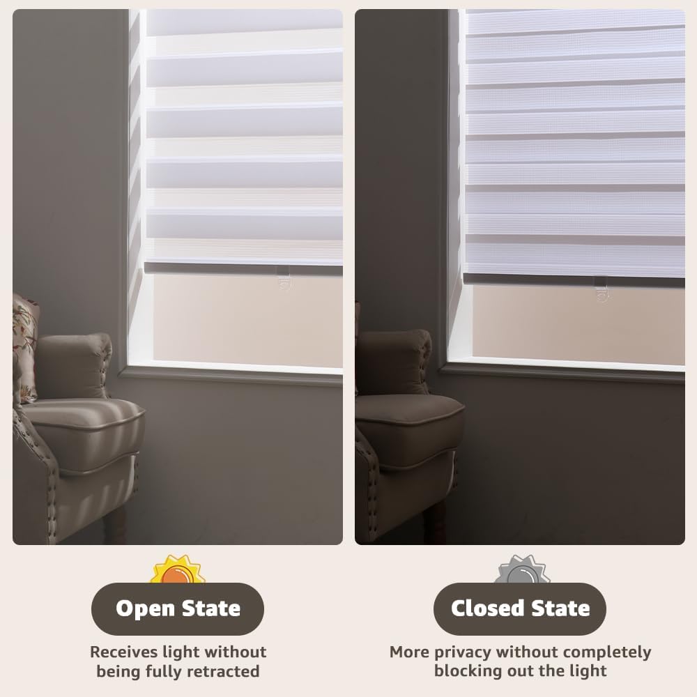 Cordless Zebra Blinds for Window, French Door Blinds Free-Stop Roller Window Shades with Valance 54" W x 64" H, Light