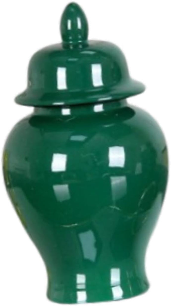 Porcelain Ginger Jar Storage Tank Ceramic Vase for Arrangement Collection
