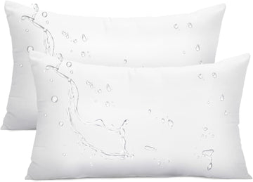 Ashler Outdoor Pillow Inserts, 12x20 Waterproof Throw Pillows - Set of 2
