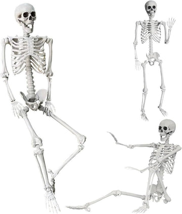 5.4Ft/165cm Halloween Skeleton Full Body Life Size Human Bones with Movable Joints Outdoor Halloween Props Decorations