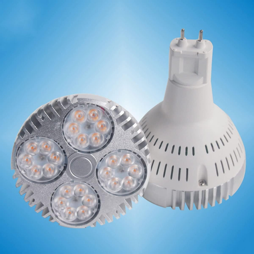 30W Par30 Flood Light Bulb, G12 LED Light Bulb Bright Light Bulbs (300W Equivalent) Recessed Lighting, Warm White