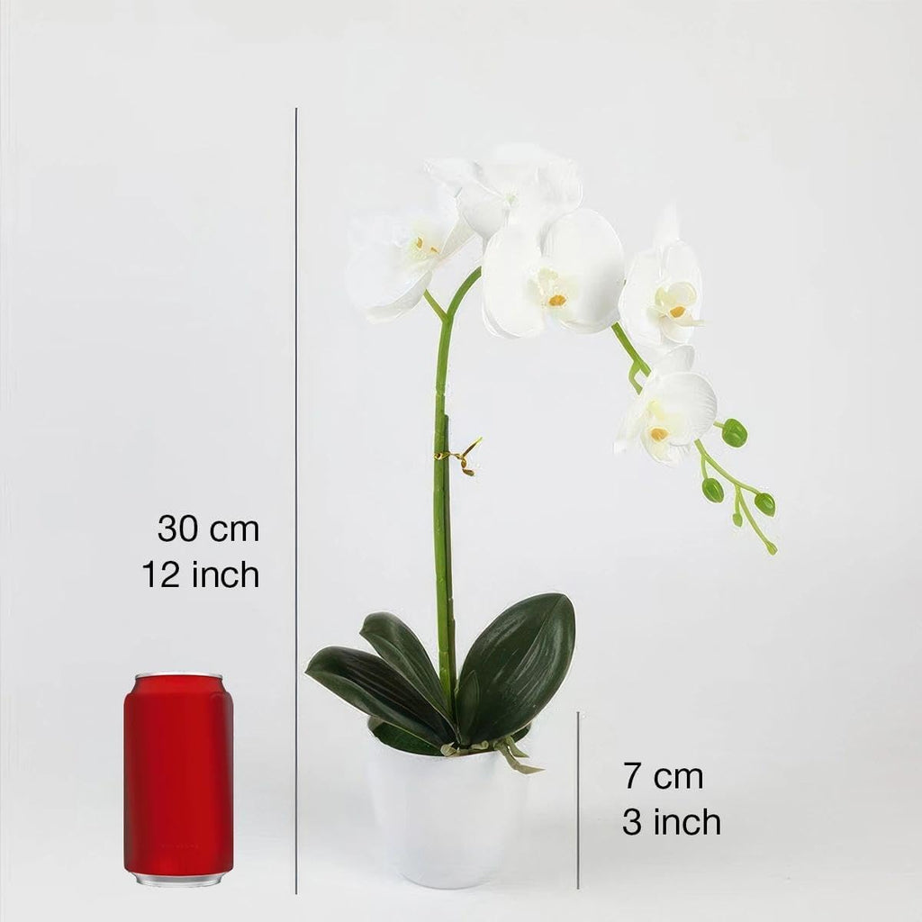Artificial Orchid in Pot, 17-20" Real-Touch Faux Phalaenopsis, White