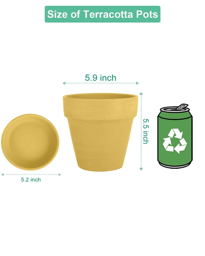 6 Inch Yellow Terracotta & Clay Pots with Saucer, 4 Pack