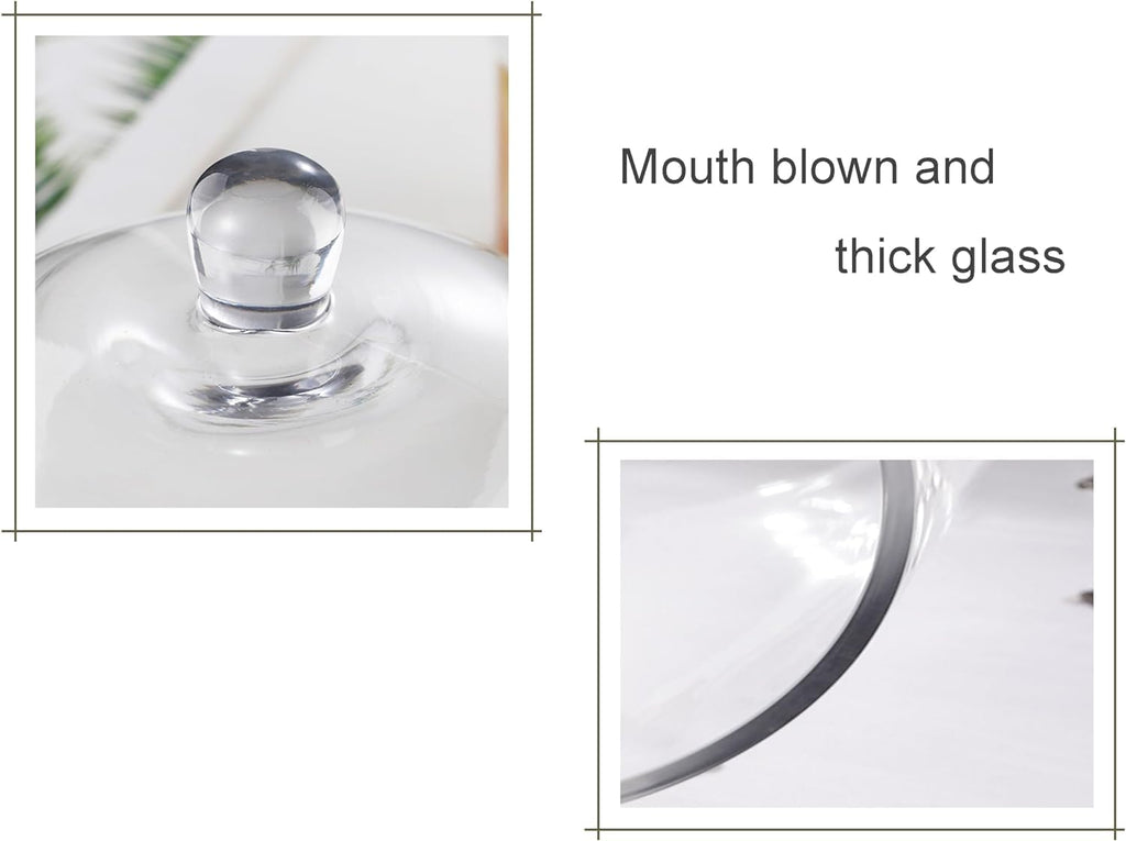 9.6" Wide Handmade Sturdy Glass Cake Dome, Cake Cover Lid for Cake, Food and Display, Glass Topper For Cake Plate