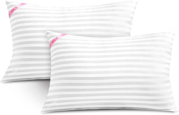 Throw Pillow Inserts, Machine Washable Pillows,Premium Polyester Fiber Fill for Sofa Bed & Decorative Cushions - Set of 2