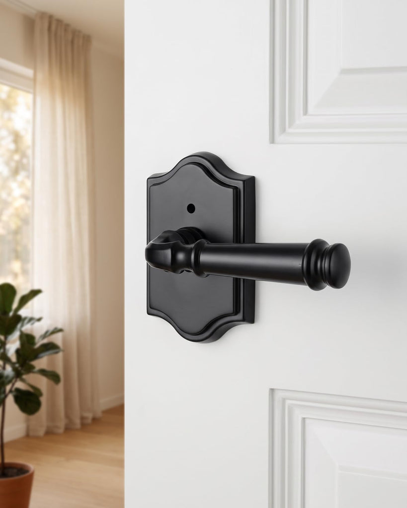 Interior Privacy Door Handle, Matte Black Arch Rosette Door Lever