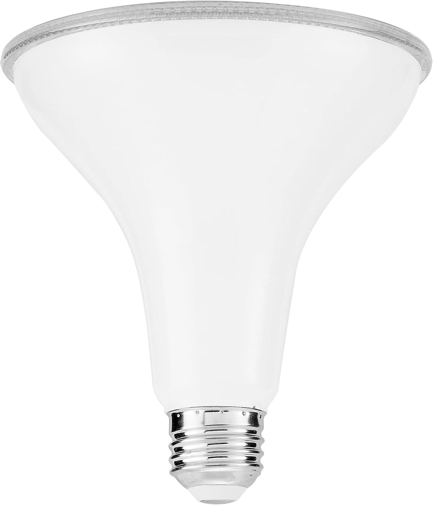 PAR38 LED Indoor/Outdoor Light Bulbs, 3000K, 1275 Lumens, 4 Pack