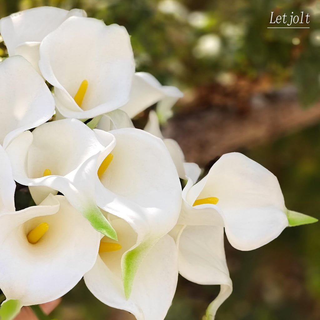 Artificial Calla Lily Flowers, Yellow White, 20Pcs