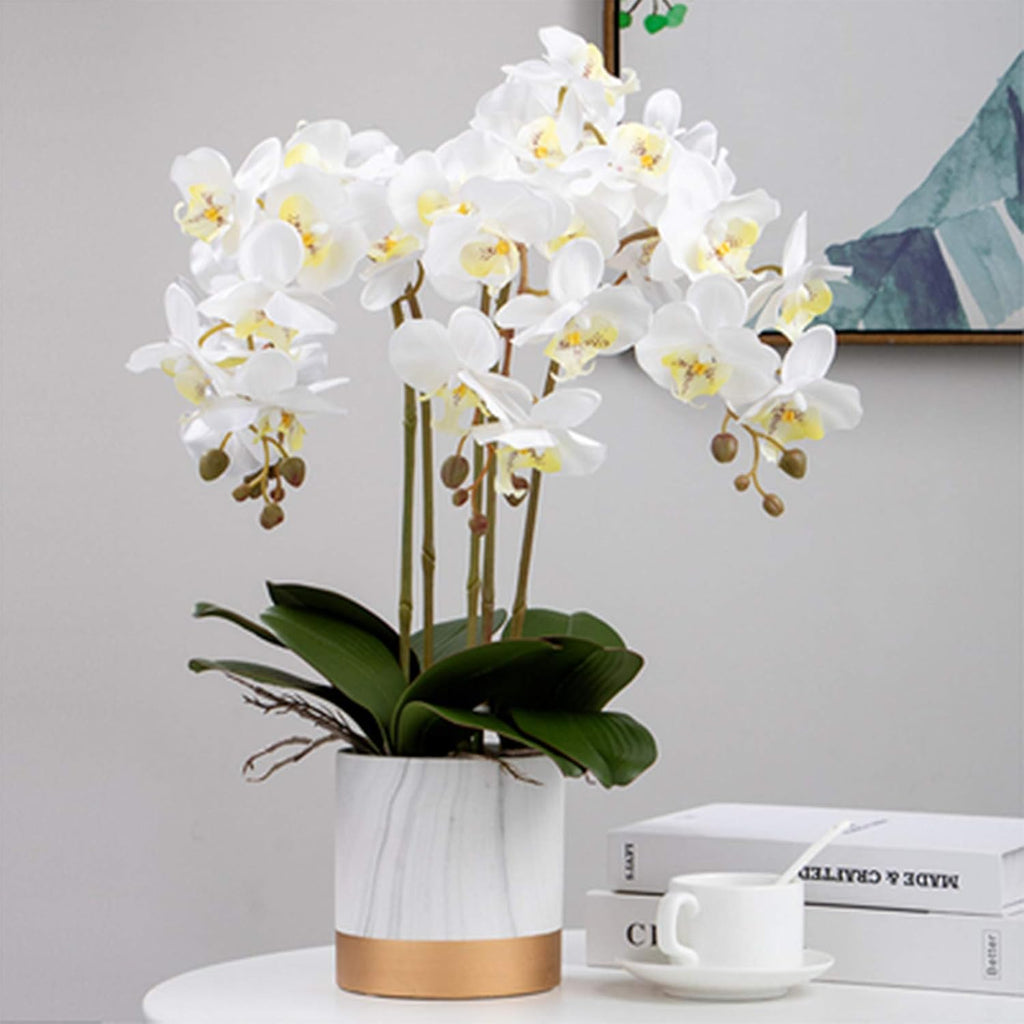 32" Artificial Phalaenopsis Flowers Artificial Orchid Flowers Stem Plants Décor () - Set of 6