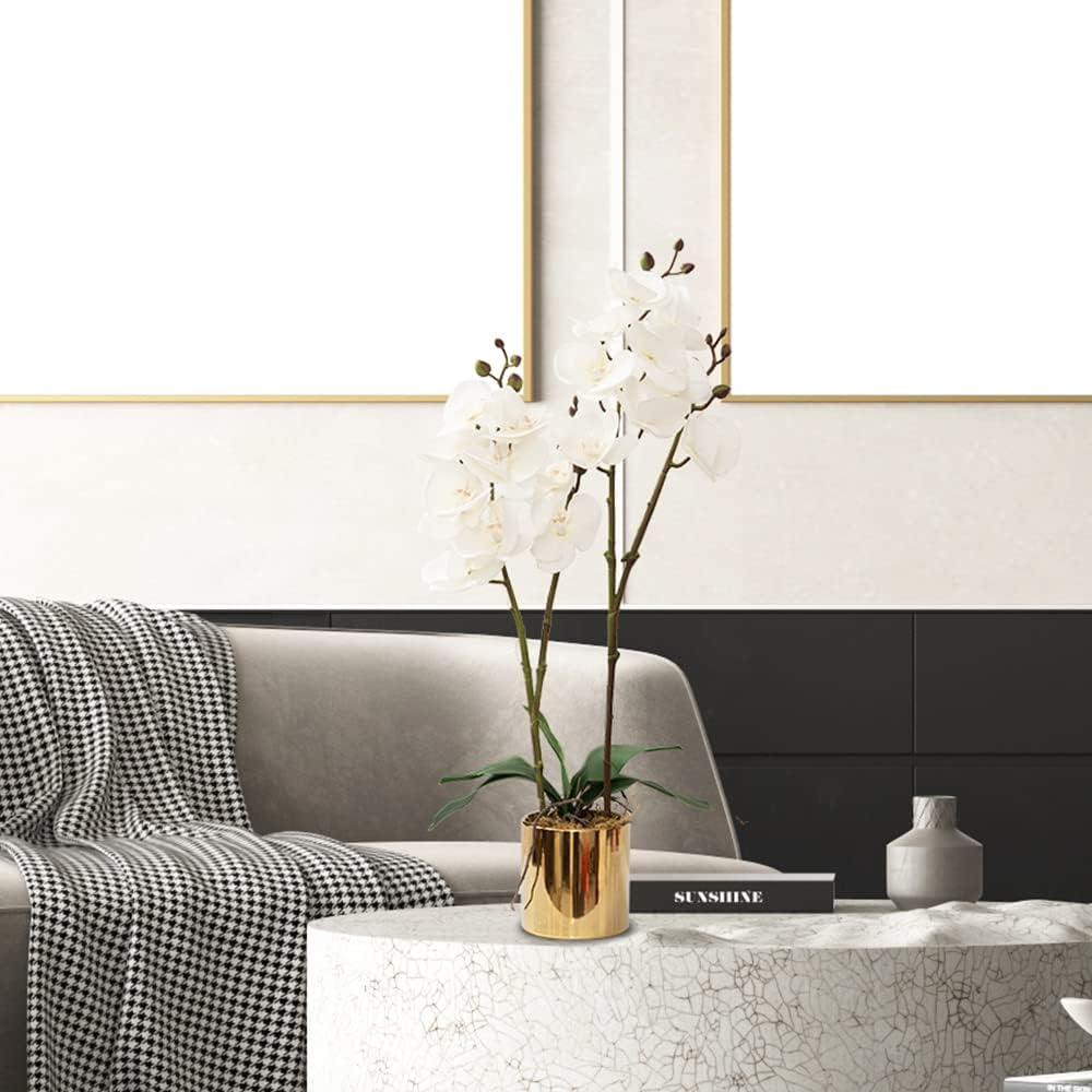 Artificial Orchid Flower Plant 19.7'' Real Touch Faux Orchids in Vase