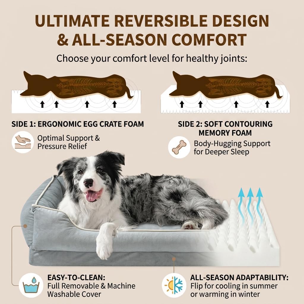 Orthopedic Dog Bed for Medium to Large Dogs & Cats, Memory Foam Dog Bed with Washable Removable Cover, Top-Grade