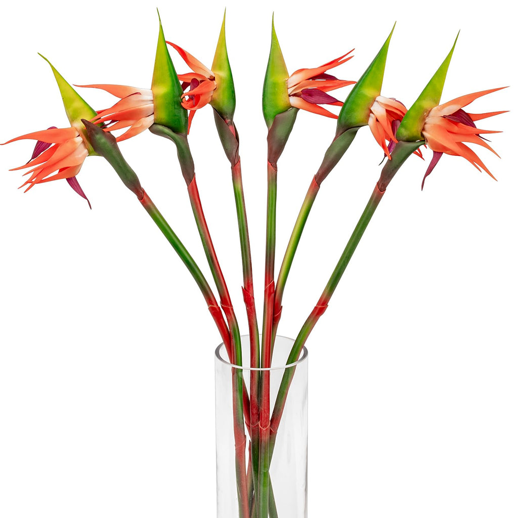 6 PCS Artificial Bird of Paradise Flowers, Real Touch 26inch Long Stem Flower Made of Soft Rubber PU for Indoor