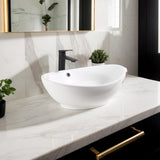 VIDA 23×15.2×7.7 inch Bathroom Vessel Sink, Modern Egg Shape Vanity Sink Above Counter Art Basin with Overflow