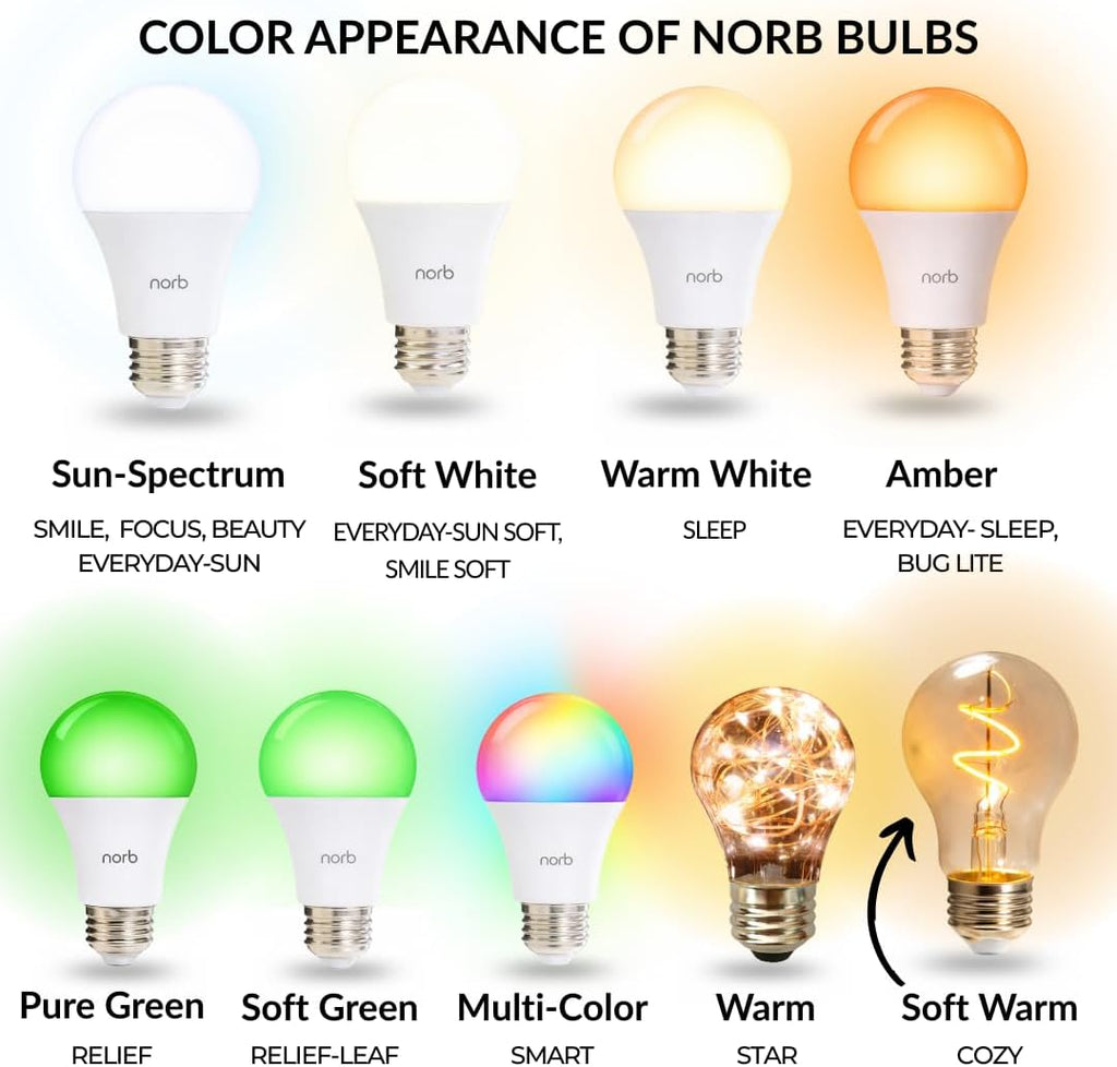 NorbCOZY G25 LED Bulb - Amber Glass 4W Spiral Filament Globe, 2700K Candlelight Glow, E26, Energy-Efficient Wellness
