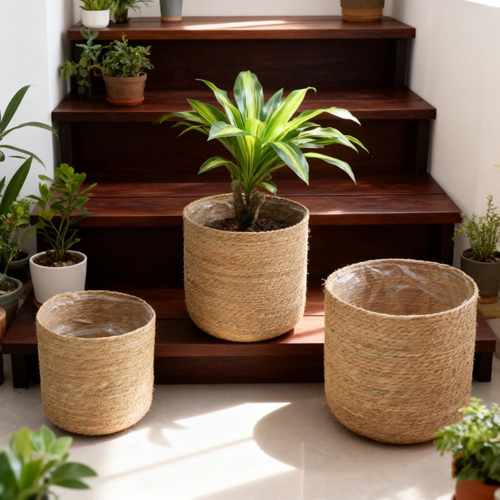 XLarge Handmade Seagrass Woven Planter Baskets (2 Pack)