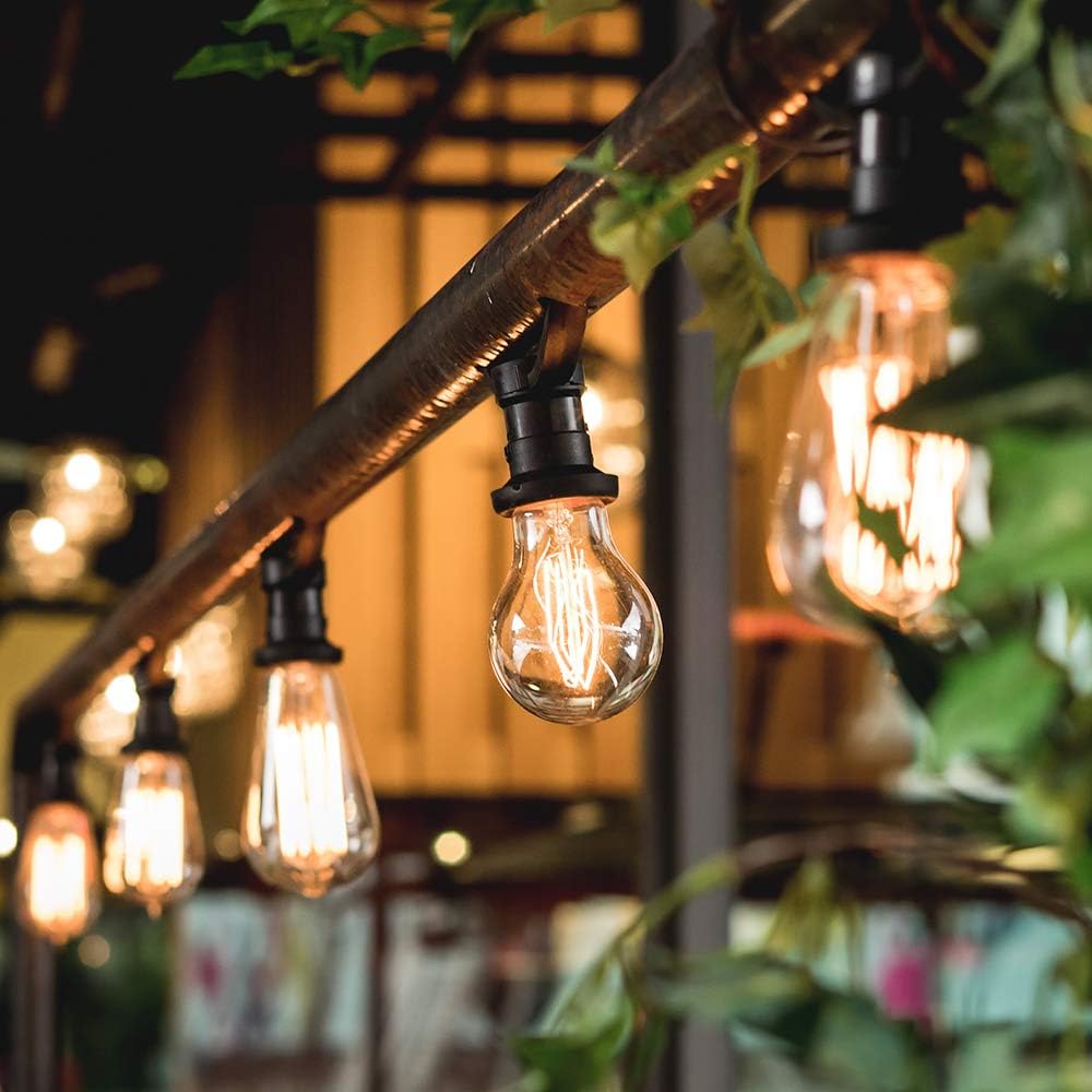 Edison Light Bulb, 60 Watts, A19 Vintage Incandescent Light Bulbs, Dimmable Old Fashioned E26 Incandescent