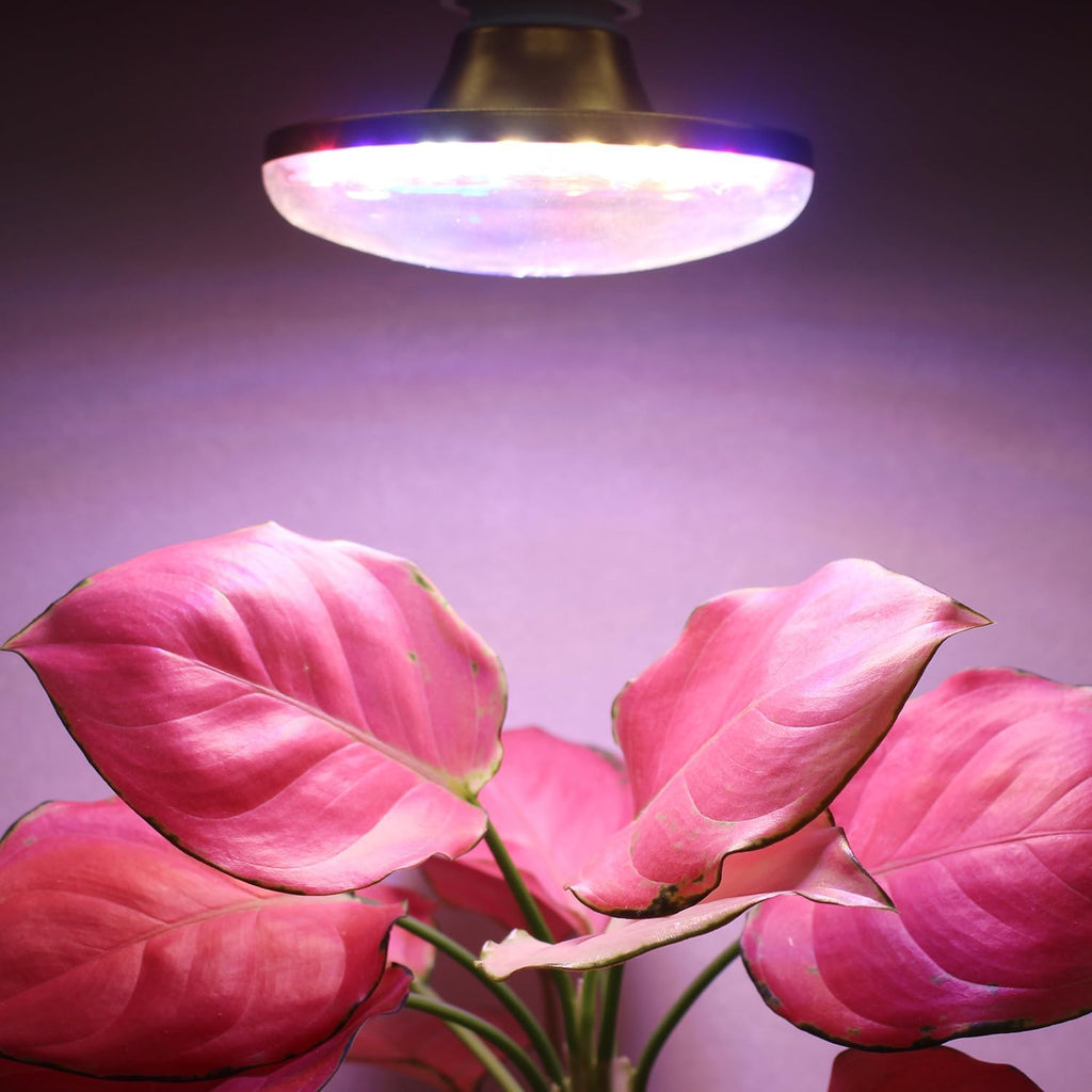 LED Grow Lights for Indoor Plants, Full Spectrum Plant Growing Lamp, E26/E27 10W Grow Light, Red Blue Grow Light