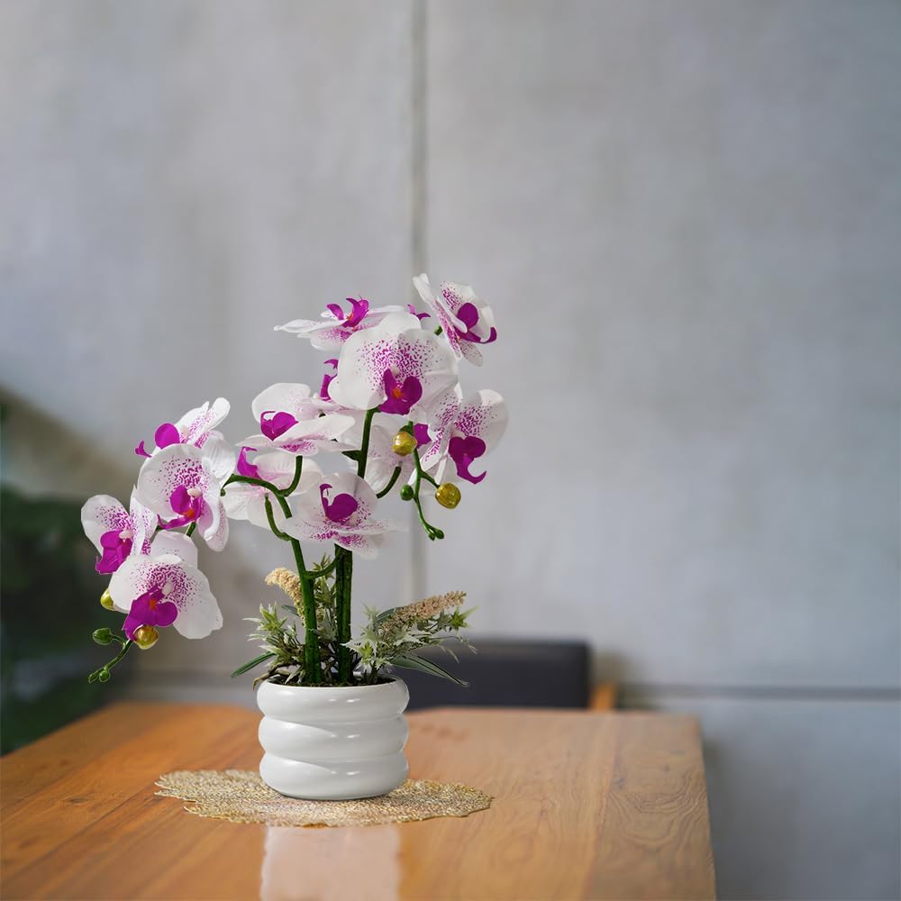Artificial Orchids Flowers with Vase for Table Centerpieces, Real Touch Faux White Orchid Phalaenopsis in Ceramic