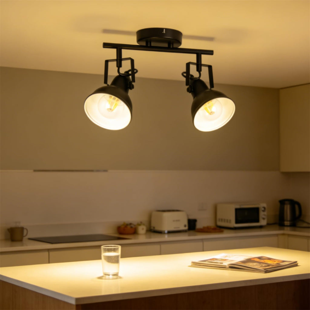 LED Track Lighting Fixtures, Rotatable 2-Light Spot Light Black