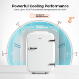 Mini Fridge, 4 Liter/6 Can Mini Makeup Fridge, 110V AC/ 12V DC Portable Thermoelectric Cooler&Warmer for Skincare