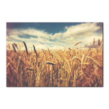 Canvas Wall Art - Vintage Golden Wheat Field Pictures Painting Prints Nature Landscape Modern Artwork Wall Decor
