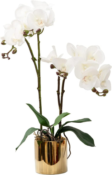 Artificial Orchid Flower Plant 19.7'' Real Touch Faux Orchids in Vase