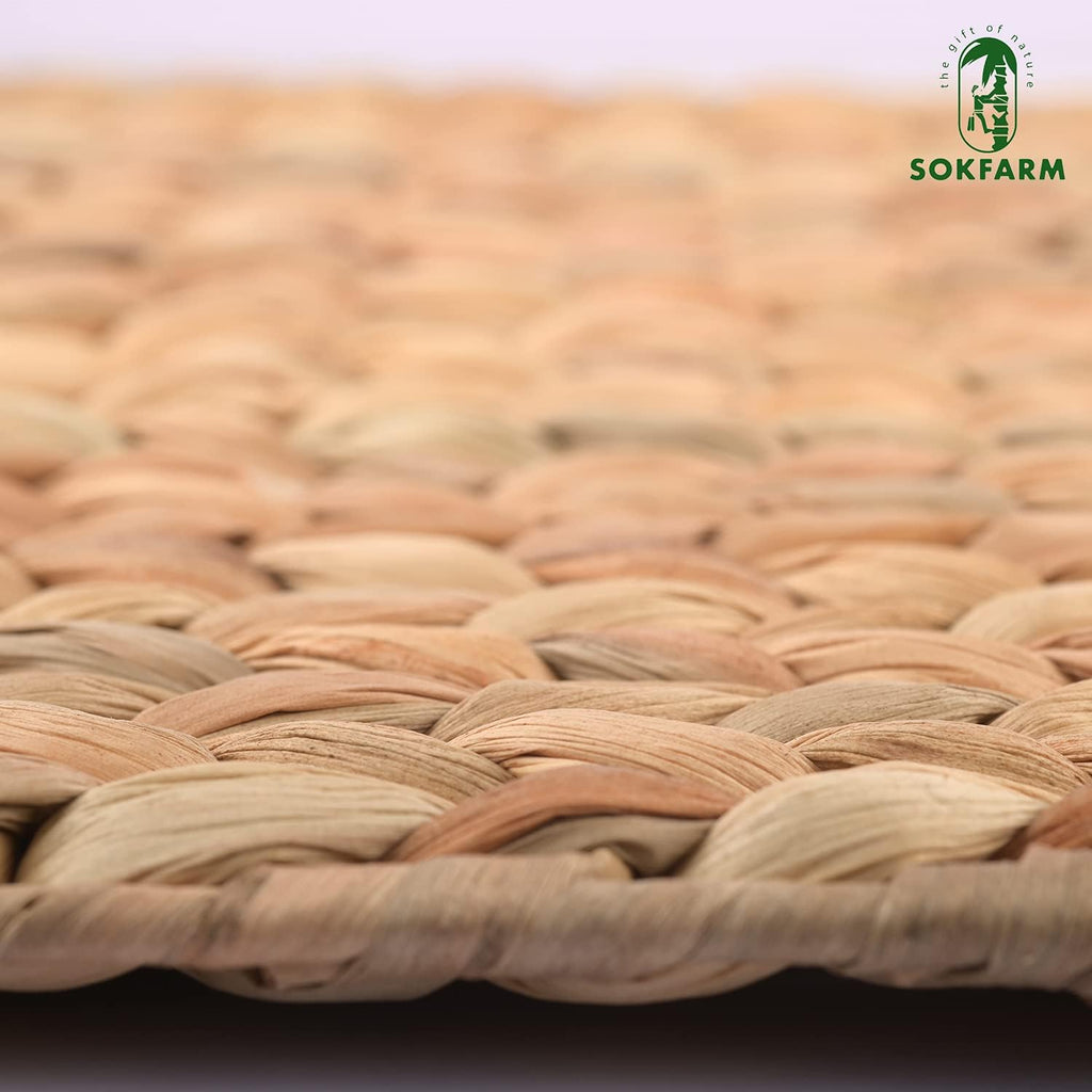 Water Hyacinth Rectangular Placemats, 17 x 12 Inch Woven Rattan Table Mats for Dining Table, Heat Resistant - Set of 6