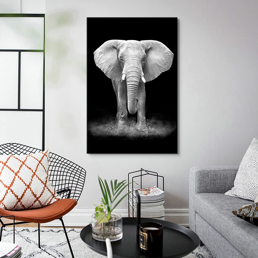Modern Black And White Animals Picture Prints Elephant Portrait Wildlife Nature Photography Artwork Living Room