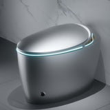 Grey Smart Toilet with Bidet Built In, Luxury Elongated Electric Toilet with Heated Seat&Foot Sensor