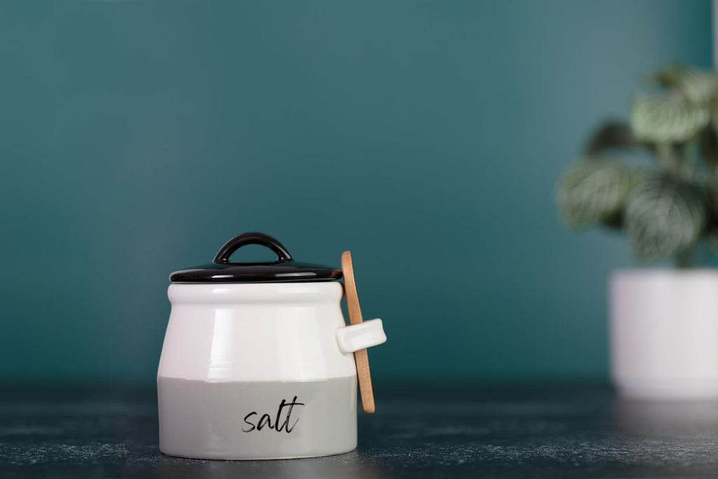 Salt Cellar with Lid and Spoon 10 oz - Handmade Ceramic Salt Keeper with 1.75 inch Lid and 3 inch Bamboo Spoon