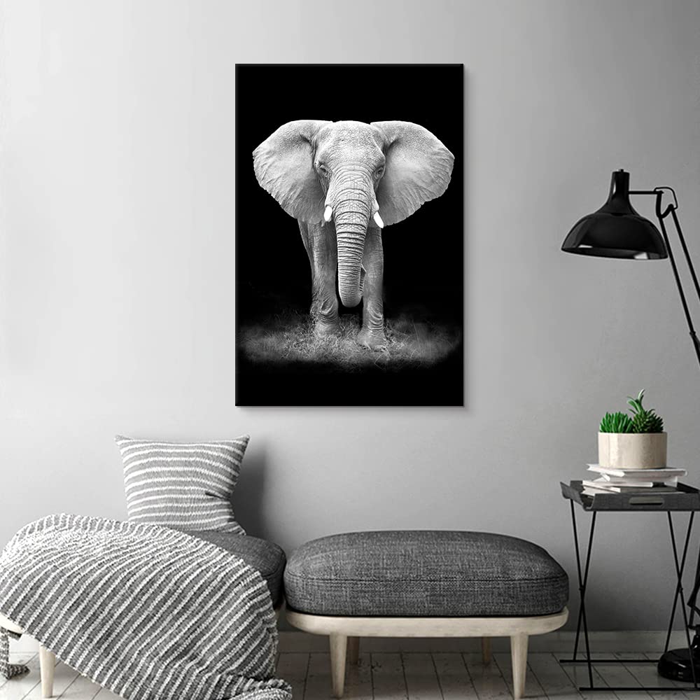 Modern Black And White Animals Picture Prints Elephant Portrait Wildlife Nature Photography Artwork Living Room