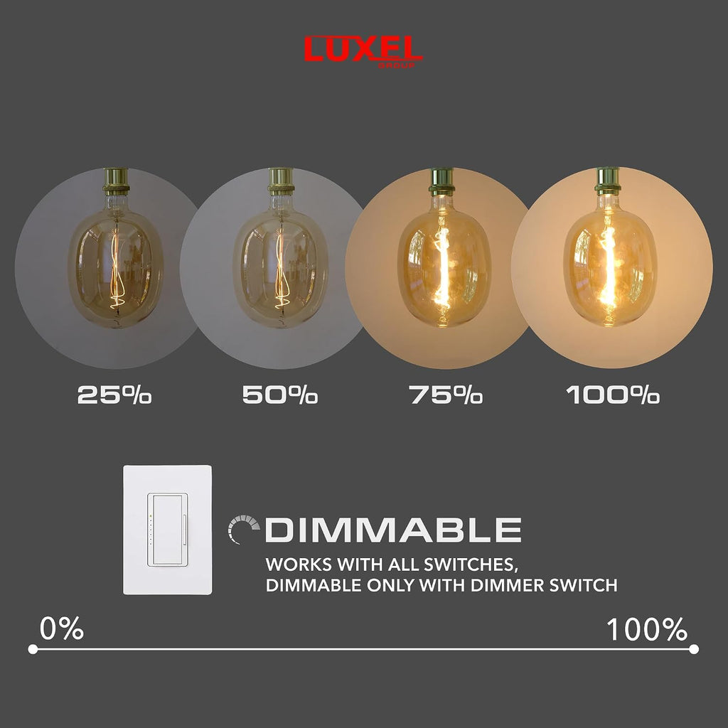 Oversized Edison LED Light Huge Bulb Vintage Ellipse 170 5W Equivalent 40W - Dimmable 2200K Warm Glow 300 Lumens