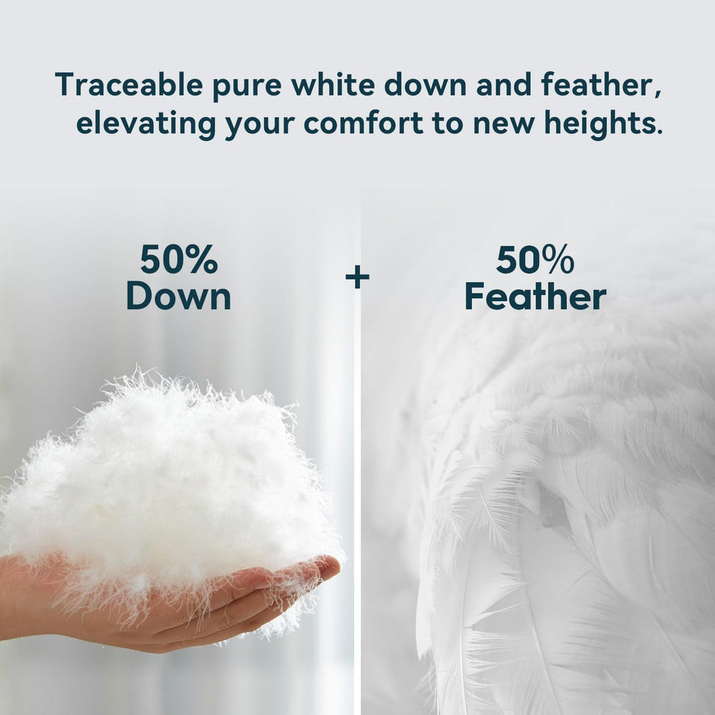 Queen Down Comforter, Luxurious All-Season Duvet Insert with noiseless Skin-Friendly Tencel Blend Cover, Cloud-Soft &