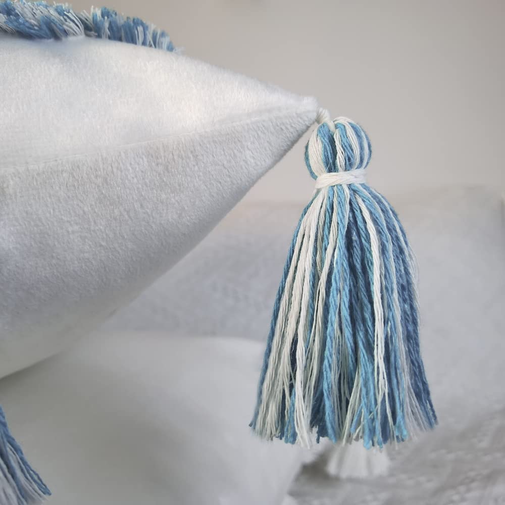 White Blue Boho Decorative Throw Pillow Covers Set of 2, Super Soft Woven Tufted Velvet Pillowcase with Tassel Classic