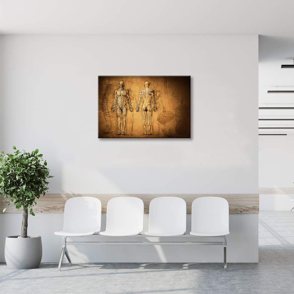 Vintage Human Muscular System and Skeleton Patent Photos Canvas Print Wall Decor Anatomical Medical Art Physician Day