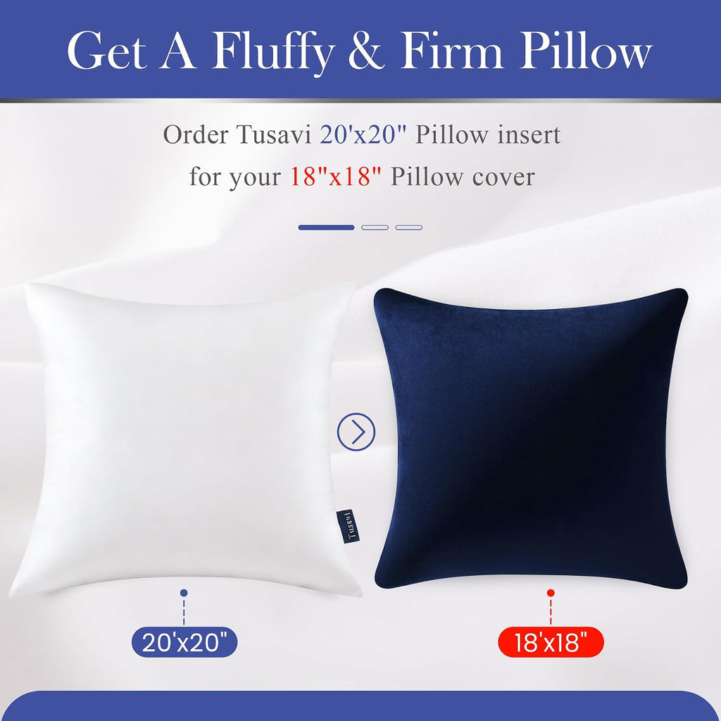20 x 20 Throw Pillow Inserts() Firm & Fluffy Decorative Down Alternative 20 Pillows for Couch Sofa Bed Living - Set of 2