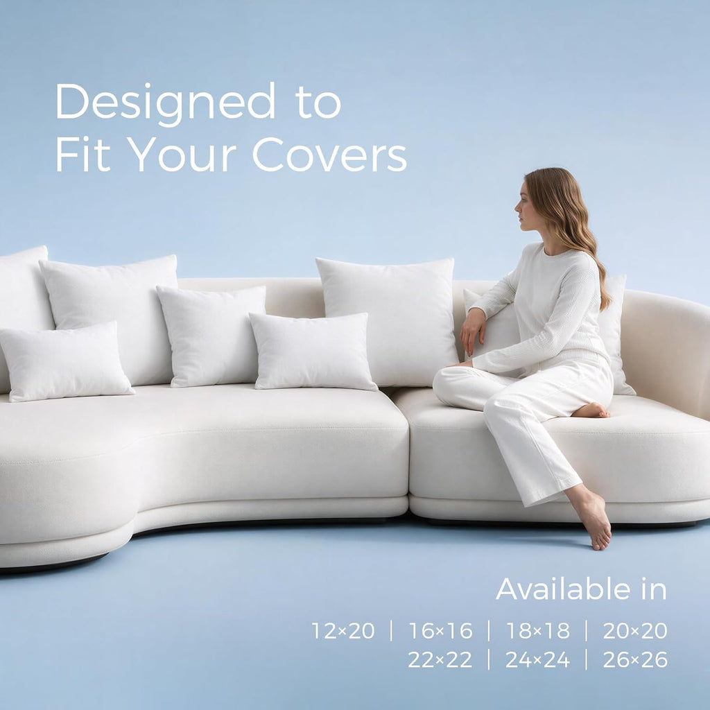 Throw Pillow Inserts Decorative Throw Pillows 20x20 Inch 2 Pack - Set of 2