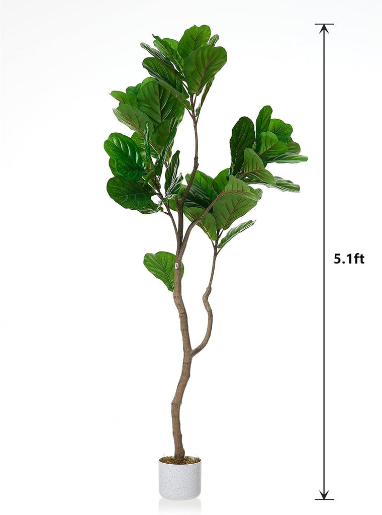 5FT Artificial Fiddle Leaf Fig Tree in White Planter, 61" Tall Fake Plants Ficus Tree with Fake Moss and Trunk