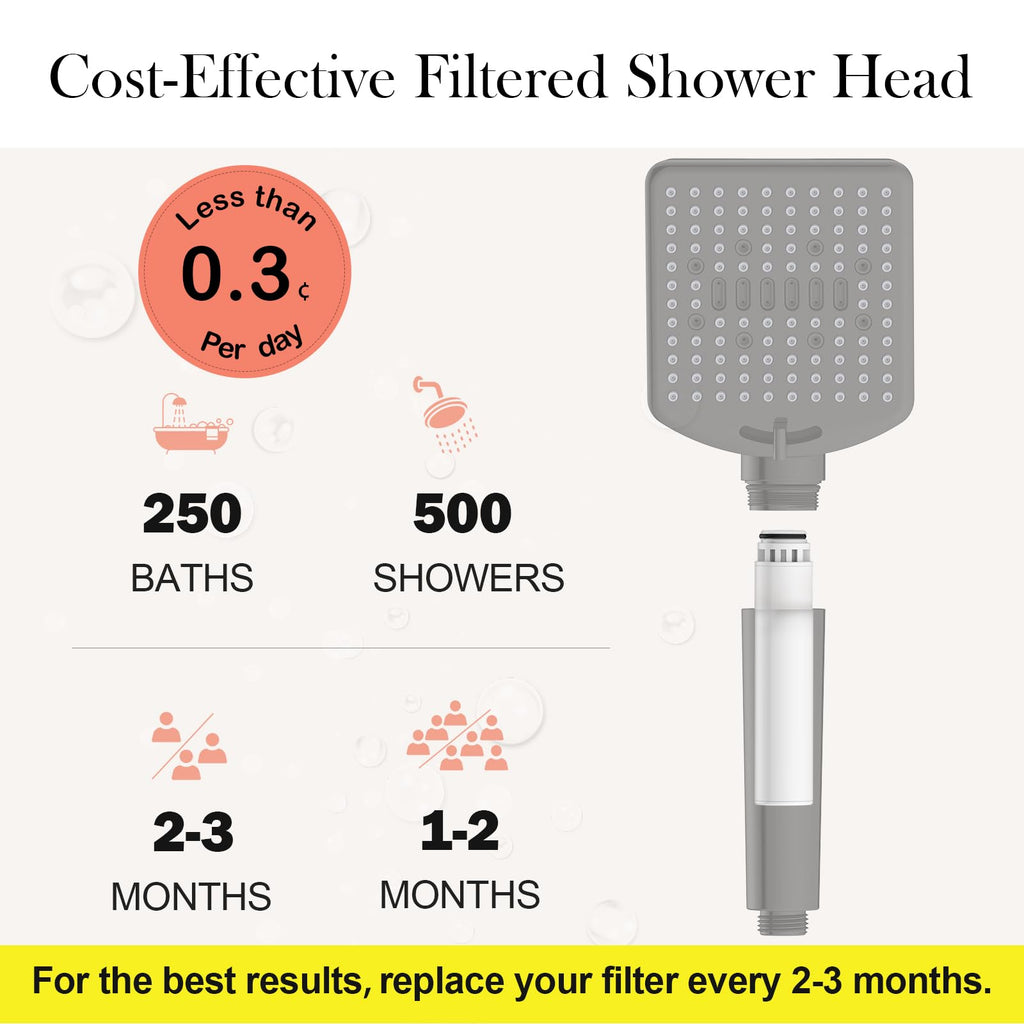 Filtered Shower Head with Handheld, High Pressure 6 Mode Showerhead