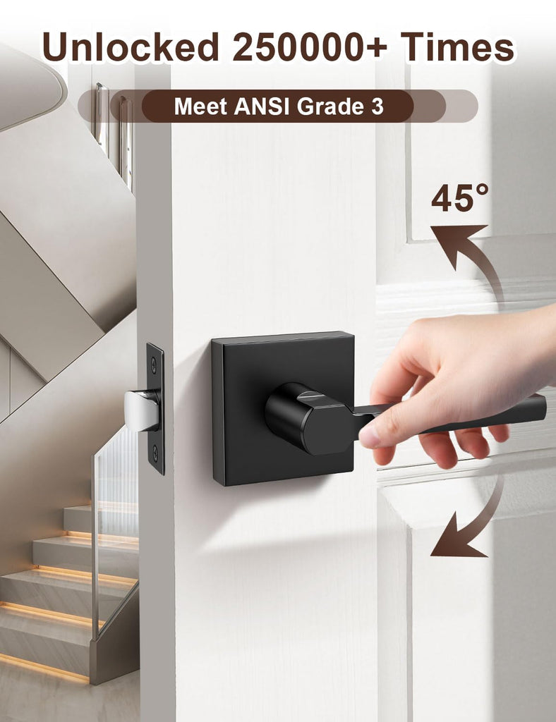 Matte Black Interior Passage Door Handles 1 Pack for Closet No Lock
