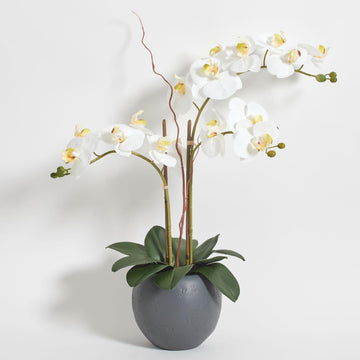 Faux White Orchid Plant, 25 in, Grey, Home Decor