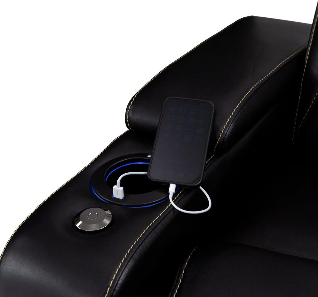 Paladin Home Theater Seating, Heat & Massage, Powered Headrest, Powered Lumbar, Italian Leather, Powered Recline