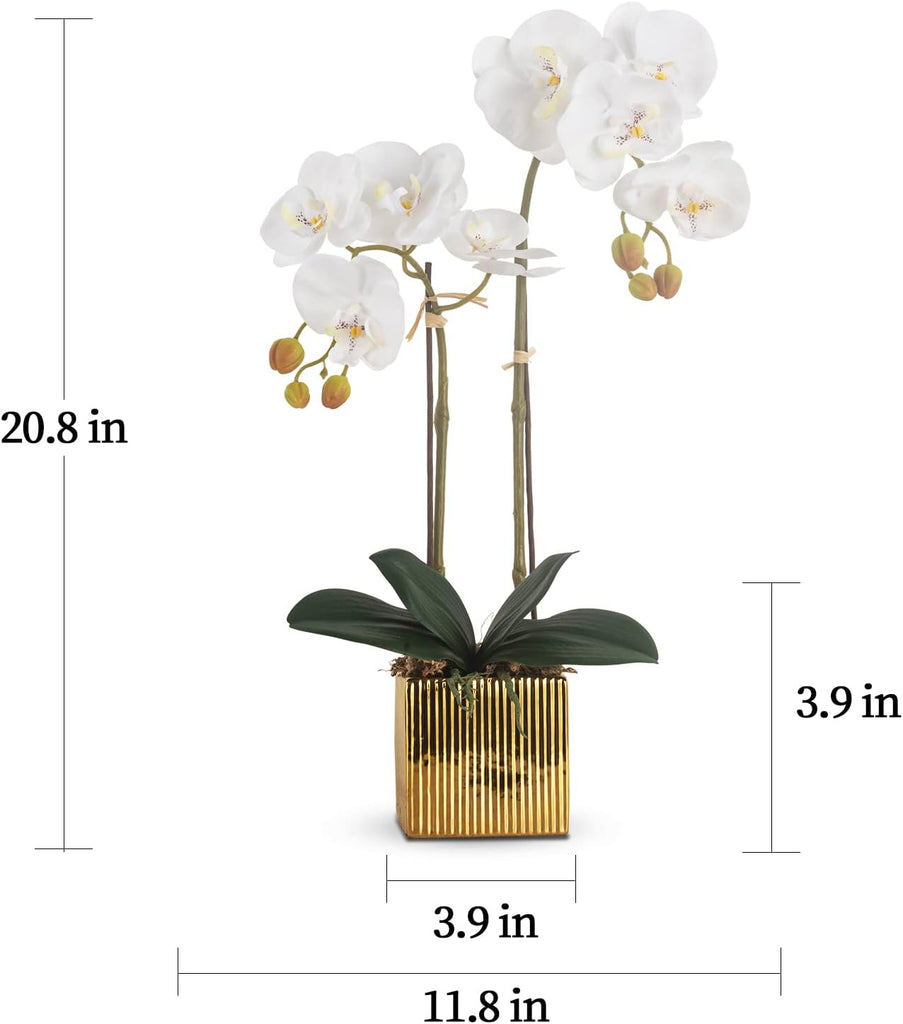 Artificial Orchid Flowers Potted in Ceramic Pot, White Faux Phalaenopsis Orchids for Table Centerpiece, Realistic