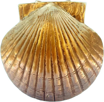 Brass Scallop Shell Door Knocker , Nautical Solid Brass Door Knocker for Home & Hotel Front Door