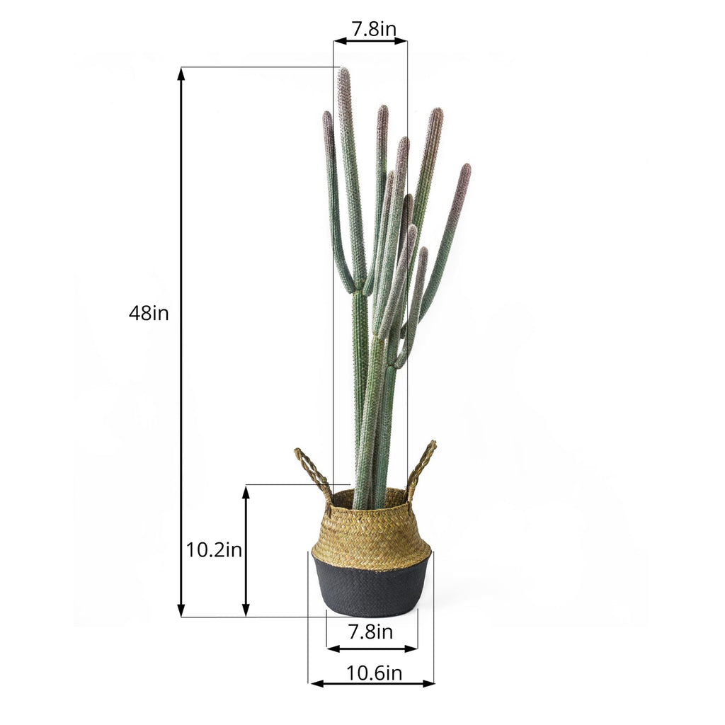 4ft Tall Artificial Cactus in Plastic Planter with Seagrass Basket