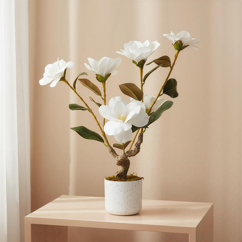 24" Artificial Magnolia Tree in White Planter, Realistic Magnolia Grandiflora with 6 Lifelike Flowers, Fake Potted