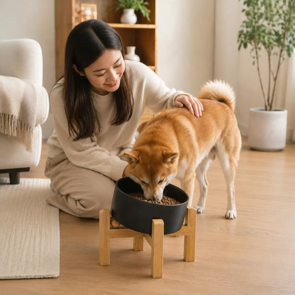 Elevated Ceramic Dog Bowl/Raised Ceramic Dog Bowls with Bamboo Stand, 15°Slanted Raised Pet Feeder for Small Medium